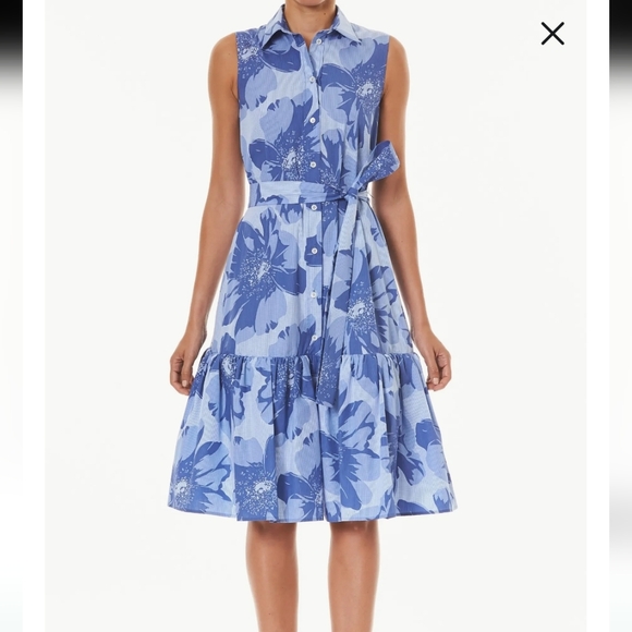 Carolina Herrera Blue Floral Midi Dress - Picture 6 of 10